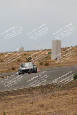 media/May-03-2025-Lucky Dog Racing (Sat) [[206de64b9d]]/Turn 6 (150pm-230pm)/